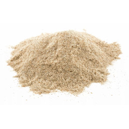 Psyllium blond (ispaghul)